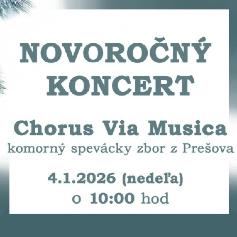 Novoročný koncert 4.1. 